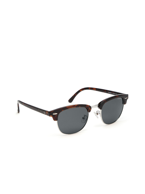 Buy Giordano Womens Cat Eye Polarized UV Protected Sunglasses online
