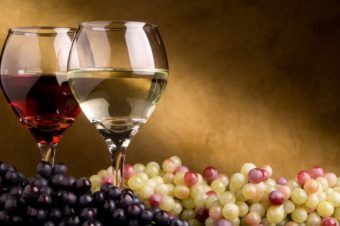 Guidelines for choosing the best wine